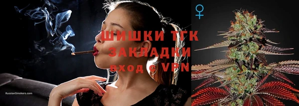 индика Бронницы
