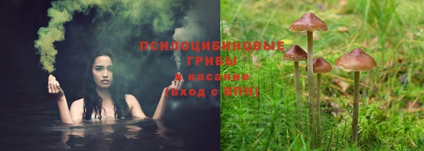 спиды Богданович