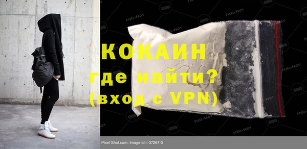 спиды Богданович