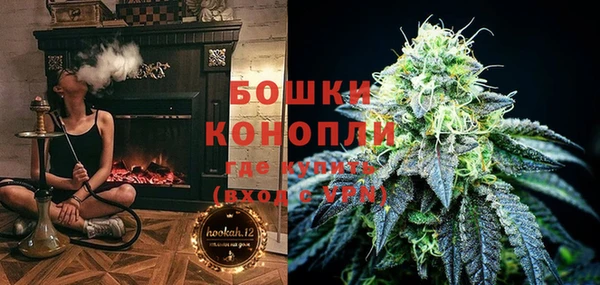 индика Бронницы