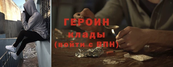 индика Бронницы