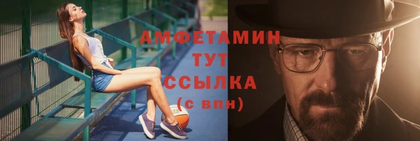 спиды Богданович