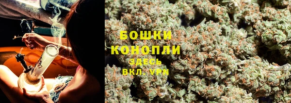 соль курить ск Бородино