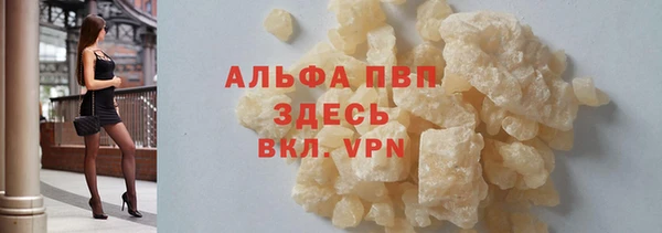 индика Бронницы