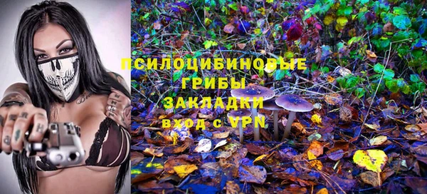 соль курить ск Бородино