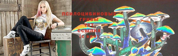 спиды Богданович