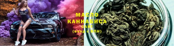 индика Бронницы