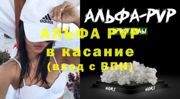 спиды Богданович