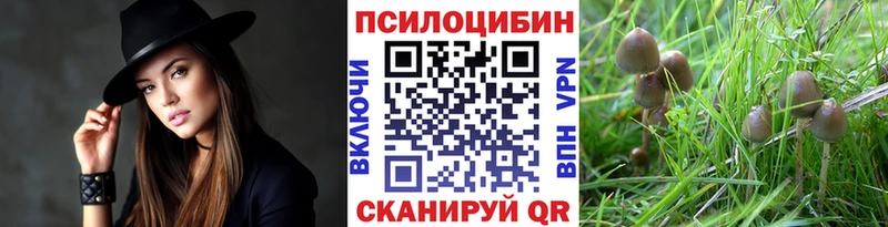 купить   Химки  Псилоцибиновые грибы ЛСД 